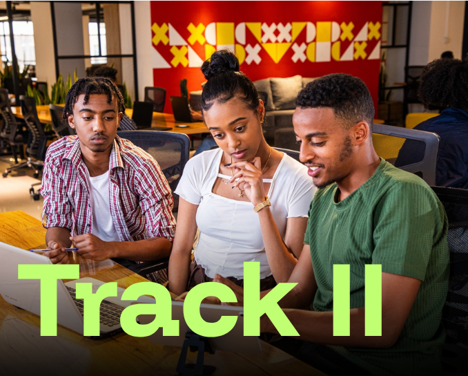 Track 2 — National Innovation Programme